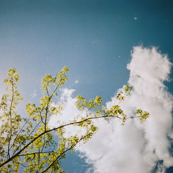 http://liushuwei.com/files/gimgs/3_000032s6.jpg