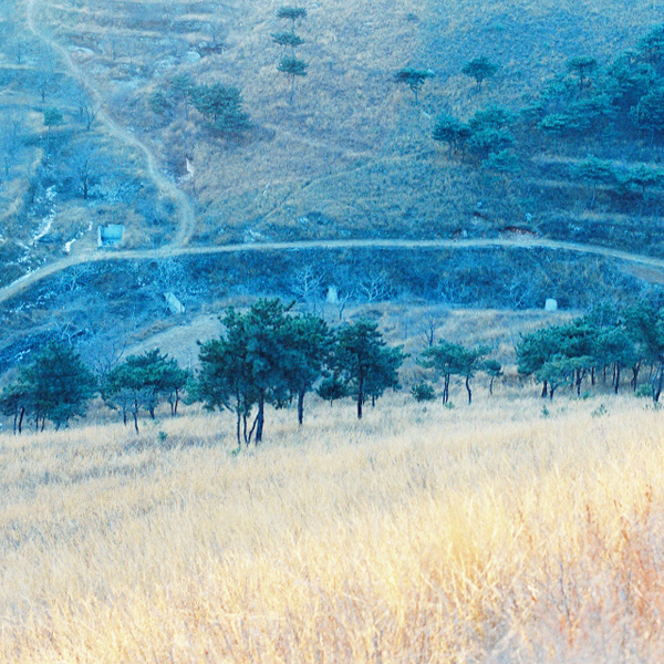 http://liushuwei.com/files/gimgs/3_cnv000012s6.jpg