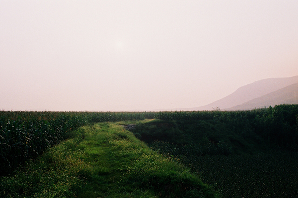http://liushuwei.com/files/gimgs/3_cnv000029s6.jpg