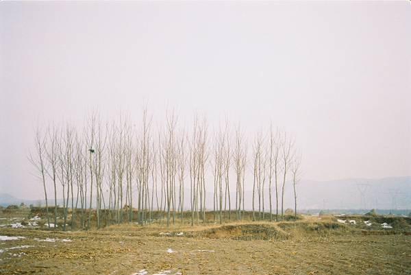http://liushuwei.com/files/gimgs/3_cnv00f0005s6.jpg