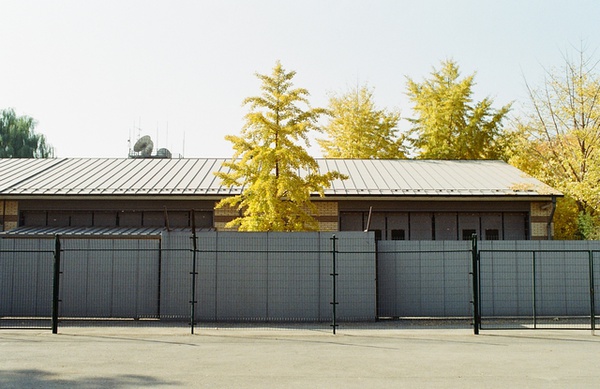 http://liushuwei.com/files/gimgs/3_p708183268.jpg
