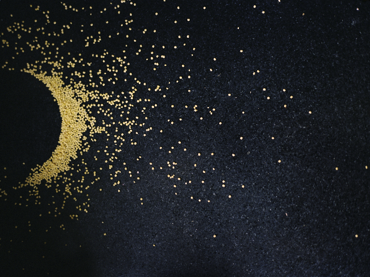 https://liushuwei.com/files/gimgs/47_liu-shuwei-moondust.jpg
