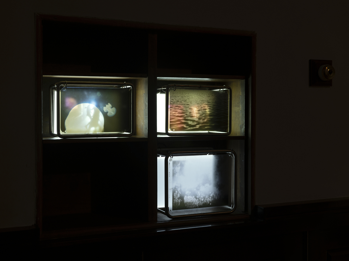 https://liushuwei.com/files/gimgs/49_liu-shuwei-vanishing-act-installation-view-c02c.jpg
