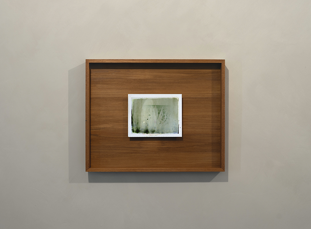 https://liushuwei.com/files/gimgs/49_liu-shuwei-vanishing-act-installation-view-c06.jpg