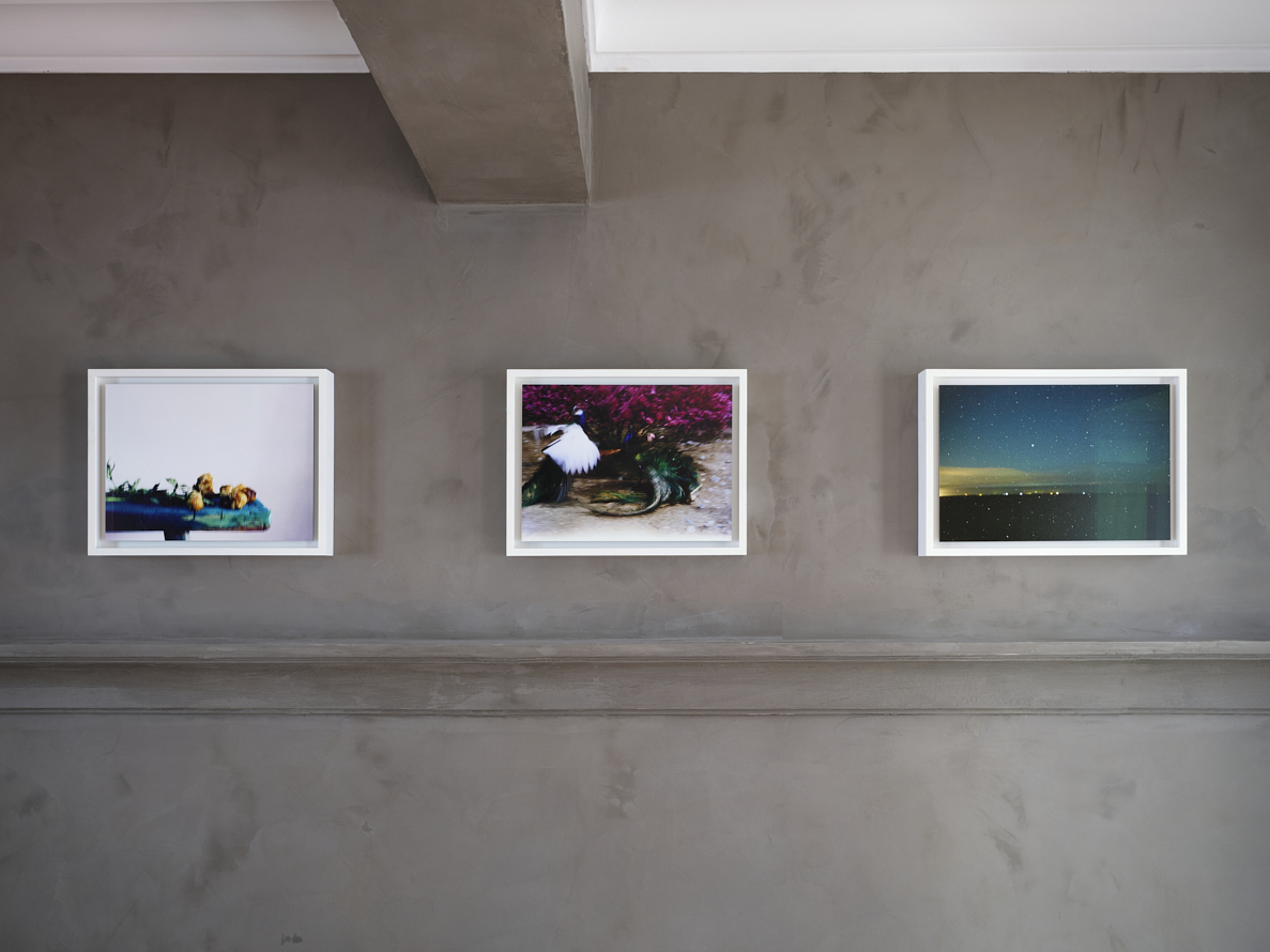 https://liushuwei.com/files/gimgs/49_liu-shuwei-vanishing-act-installation-view-g01.jpg