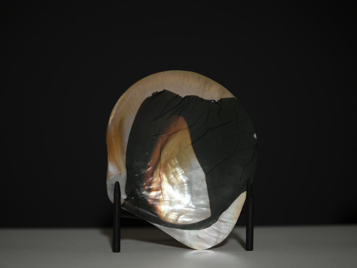 https://liushuwei.com/files/gimgs/50_liu-shuwei-tomorrow-was-archived-installation-view-palais-de-tokyo-13.jpg