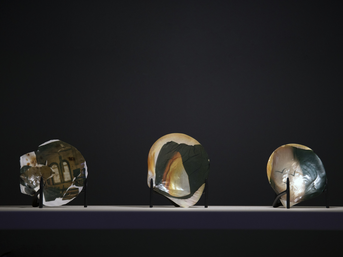 https://liushuwei.com/files/gimgs/50_liu-shuwei-tomorrow-was-archived-installation-view-palais-de-tokyo-20.jpg