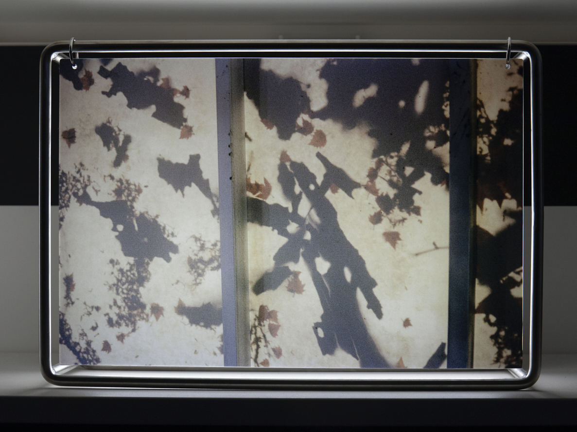 https://liushuwei.com/files/gimgs/50_liu-shuwei-tomorrow-was-archived-installation-view-palais-de-tokyo-5.jpg