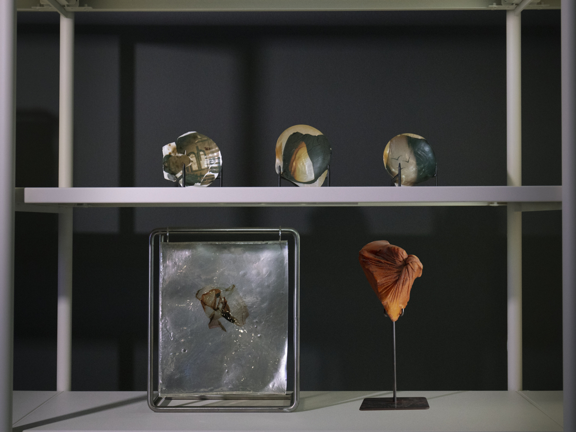 https://liushuwei.com/files/gimgs/50_liu-shuwei-tomorrow-was-archived-installation-view-palais-de-tokyo-7.jpg