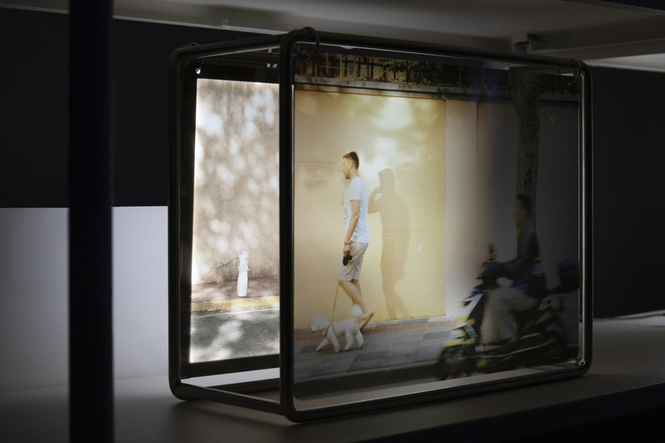 https://liushuwei.com/files/gimgs/50_liu-shuwei-tomorrow-was-archived-installation-view-palais-de-tokyo-8.jpg