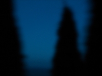 48_04-memories-form-a-forest-with-unstable-boundariesliu-shuwei.jpg