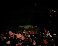 48_liu-shuwei-the-garden.jpg